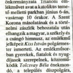 Fejér Megyei Hírlap, 2004.06.05