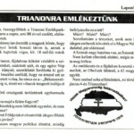 Lepsényi Lapozó, 2008. június