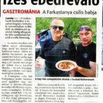 Fejér Megyei hírlap, 2011.05.15. szám
